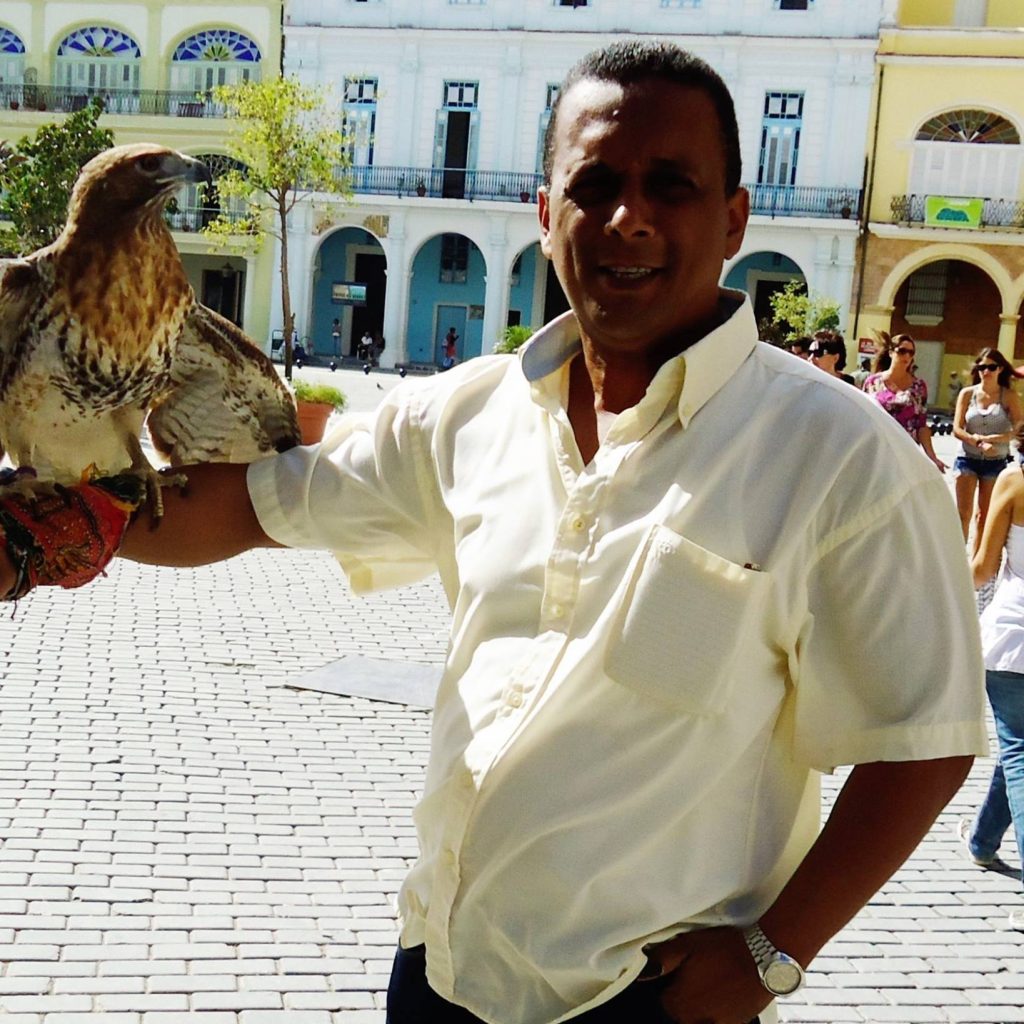 Primer plano del periodista cubano Mario Hechavarría Driggs (“Mayito”) en una plaza de La Habana, sosteniendo un halcón joven con la mano izquierda. Su amor por los animales reflejaba su naturaleza humana y sensible.